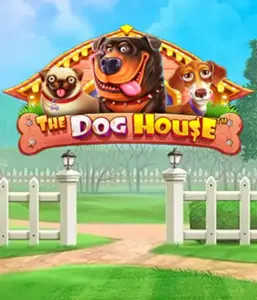 Опыт Pragmatic Play в приключении The Dog House, демонстрирующий прекрасное путешествие среди любимых собак. Наслаждайтесь игровых элементах включая бесплатные вращения, идеальных для доставления радостных моментов. Обязательно для любителей животных легкую тематику с шансом на крупные выигрыши.